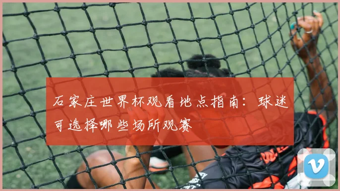 石家庄世界杯观看地点指南：球迷可选择哪些场所观赛