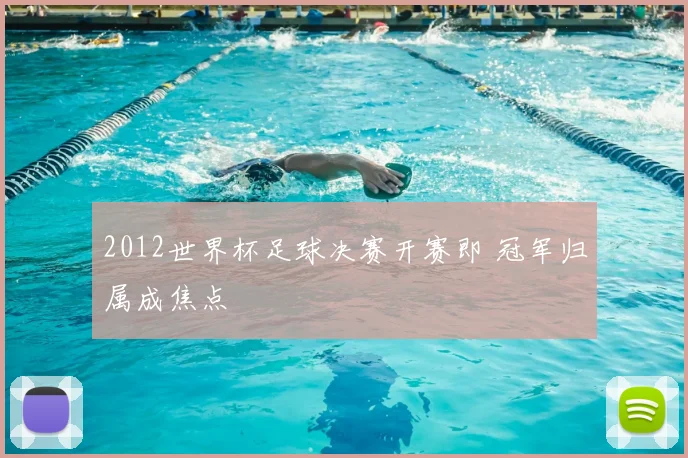 2012世界杯足球决赛开赛即 冠军归属成焦点